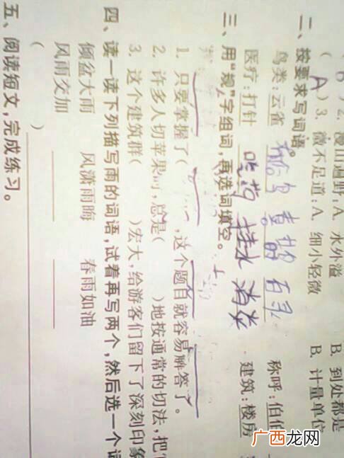 规组词规的组词规怎么组词,规字换偏旁组新字?