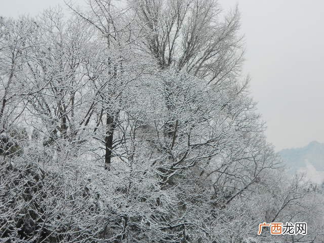 南方的冬天有什么特点,南方冬天有什么特点？