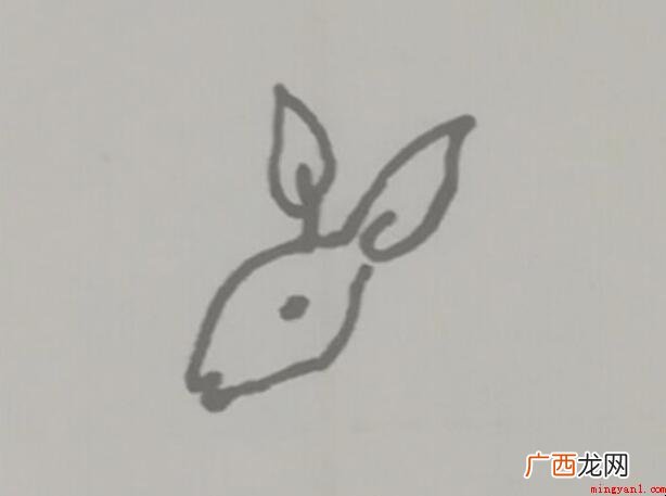 小袋鼠简笔画怎么画 澳洲特有动物之一 小袋鼠简笔画怎么画