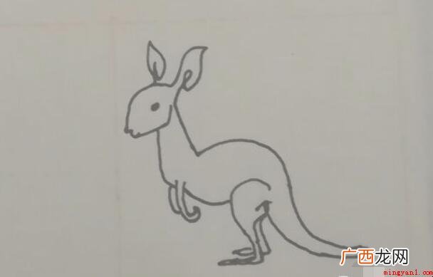 小袋鼠简笔画怎么画 澳洲特有动物之一 小袋鼠简笔画怎么画