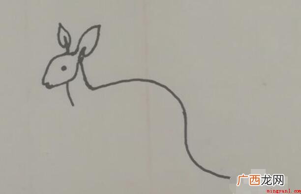 小袋鼠简笔画怎么画 澳洲特有动物之一 小袋鼠简笔画怎么画