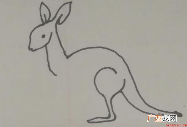 小袋鼠简笔画怎么画 澳洲特有动物之一 小袋鼠简笔画怎么画