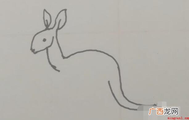 小袋鼠简笔画怎么画 澳洲特有动物之一 小袋鼠简笔画怎么画