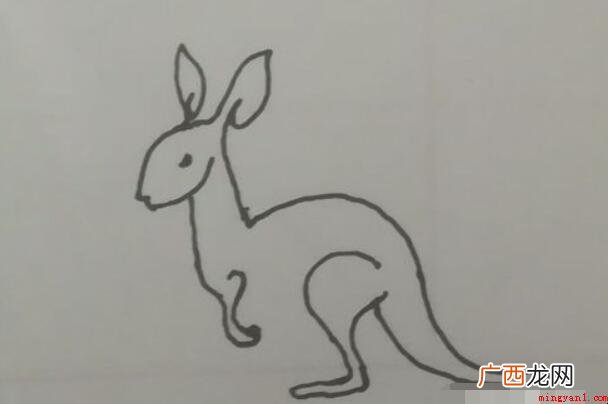 小袋鼠简笔画怎么画 澳洲特有动物之一 小袋鼠简笔画怎么画