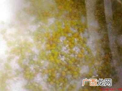 新鲜百合的吃法和做法