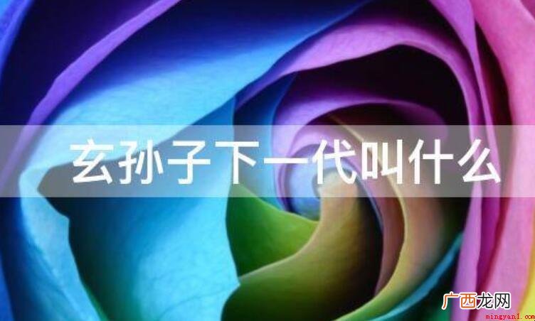 玄孙子下一代叫什么_人际关系 玄孙子下一代叫什么
