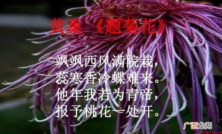 飒飒西风满院栽下一句是什么