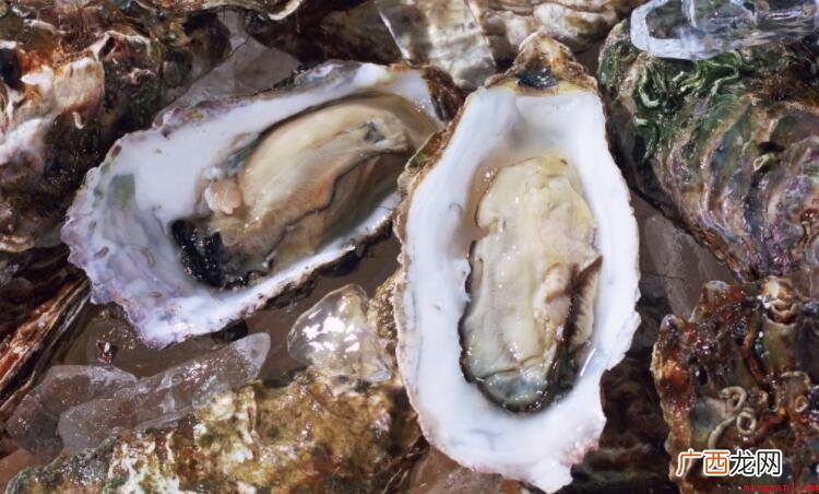 海蛎子是否是生蚝_健康频道 海蛎子是生蚝吗