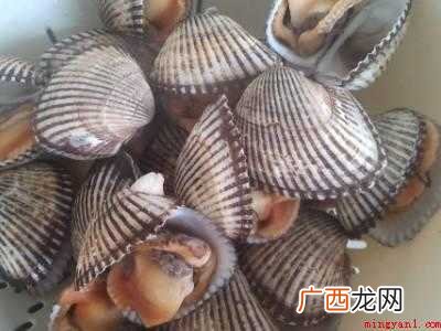血螺怎么做好吃