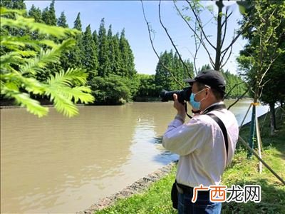 打鸟犯法吗,一次打多少鸟犯法？