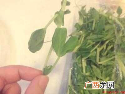 清炒豆苗怎么做好吃窍门