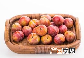 三华李种植几年可挂果,三华李果核要几年结果？