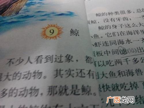 九的四字词语,带数字的四字词语有哪些，比如四面八方？