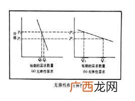 简述需求弹性理论,什么叫做需求弹性?