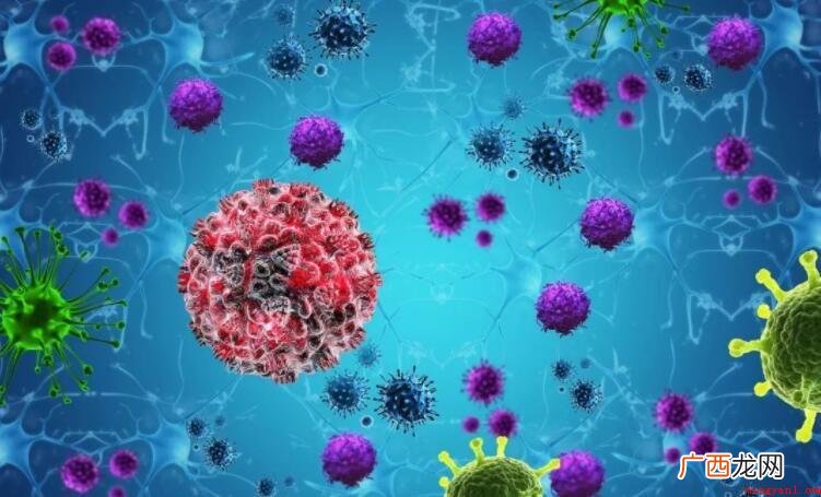 病毒是否是微生物_健康频道 病毒是微生物吗