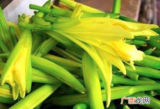 金针菜多少钱一斤