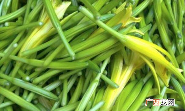 金针菜是什么 金针菜的营养价值