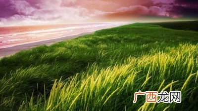 绿油油的草地像什么比喻句,绿油油的草丛像什么？