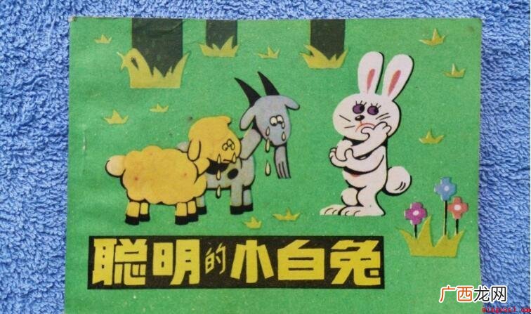 聪明的小白兔作文怎么写