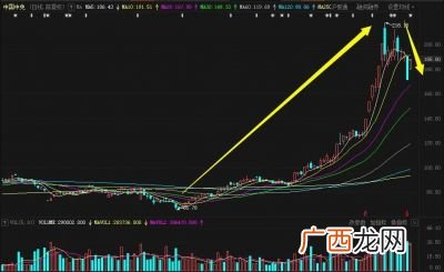 中国中免是什么公司,中免集团几月份成立的？