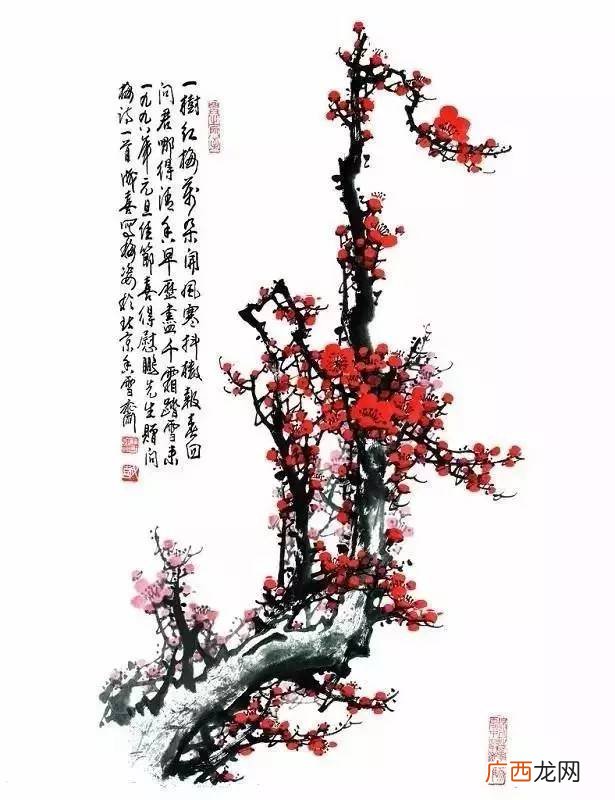 俏也不争春只把春来报的意思,俏不争春含义?