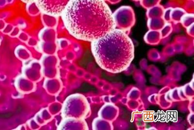 简述革兰氏染色的步骤和结果,为什么细菌经革兰氏染色后出现不同的颜色？