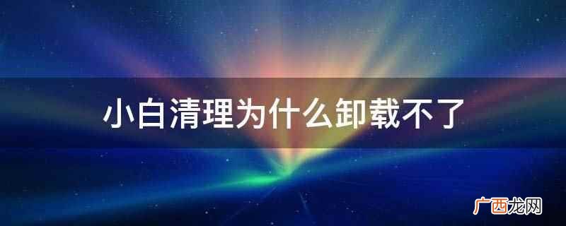 小白清理卸载不了的原因 小白清理为什么卸载不了