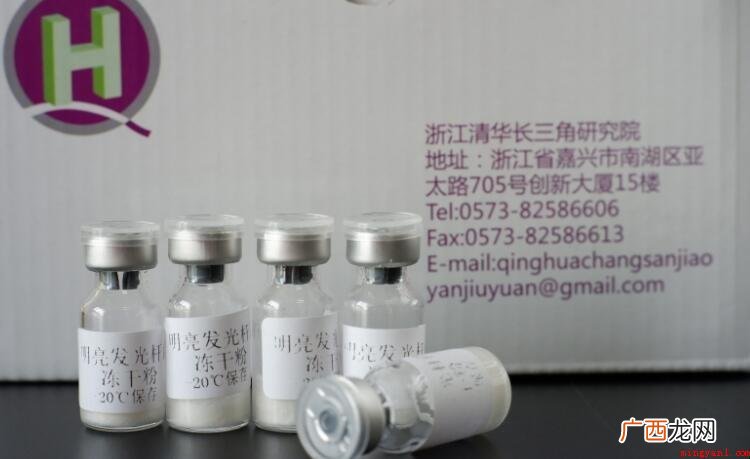 冻干粉可以天天用吗?_健康频道 冻干粉可以天天用吗