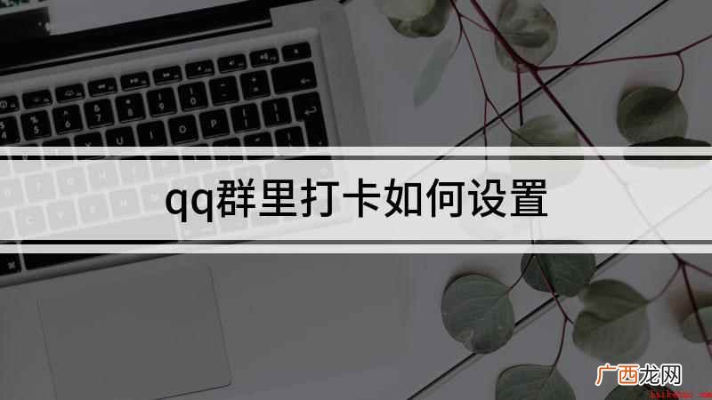 qq群里打卡如何设置