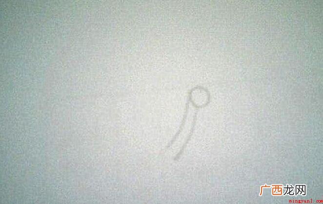茶花简笔画怎么画 画出来一个小圆圈 茶花简笔画怎么画