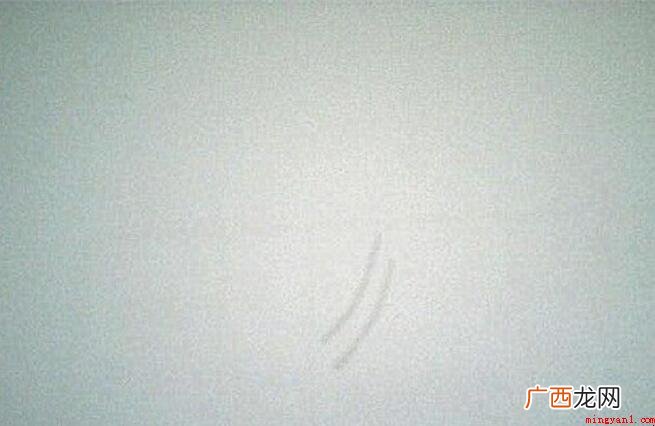 茶花简笔画怎么画 画出来一个小圆圈 茶花简笔画怎么画