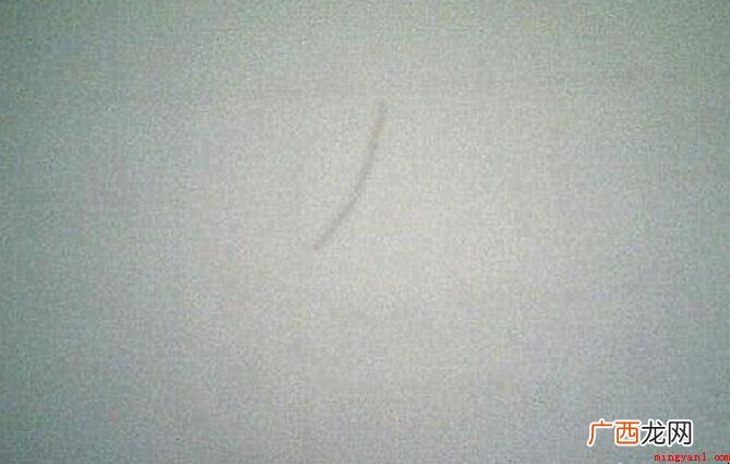 茶花简笔画怎么画 画出来一个小圆圈 茶花简笔画怎么画