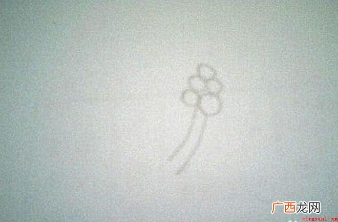 茶花简笔画怎么画 画出来一个小圆圈 茶花简笔画怎么画