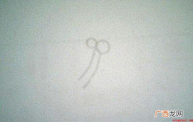 茶花简笔画怎么画 画出来一个小圆圈 茶花简笔画怎么画