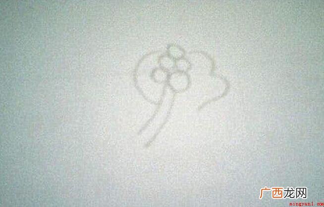 茶花简笔画怎么画 画出来一个小圆圈 茶花简笔画怎么画