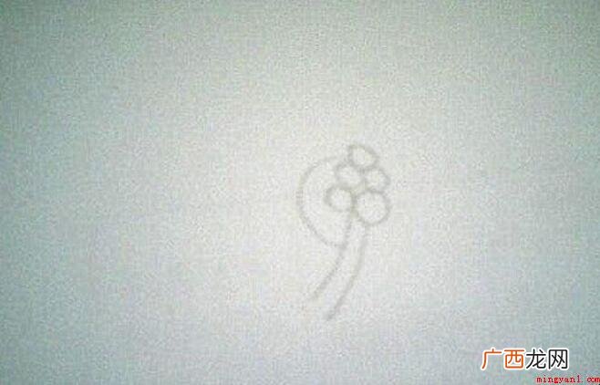 茶花简笔画怎么画 画出来一个小圆圈 茶花简笔画怎么画