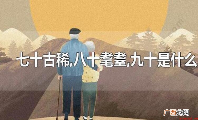 八十耄耋是什么意思_中研普华 八十耄耋是什么意思