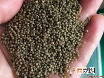 黑小米怎么做才好吃