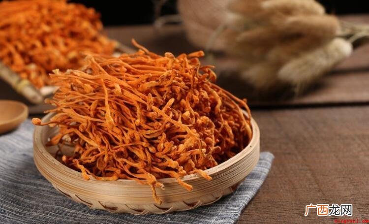 虫草花的吃法禁忌是什么