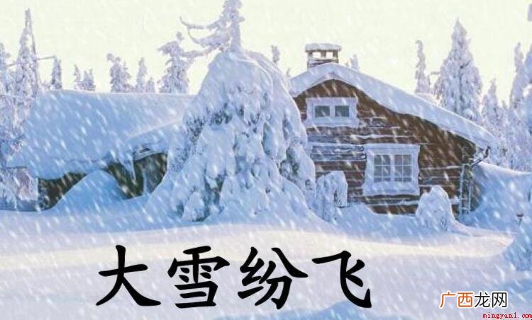 描写大雪纷飞的句子有哪些