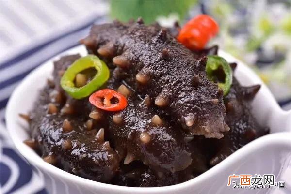 海参怎样烹饪,海参怎么烧？