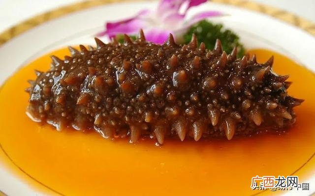 海参怎样烹饪,海参怎么烧？