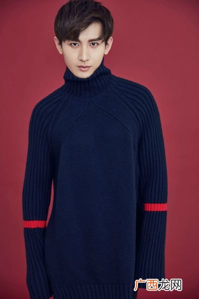 成毅演张起灵的电视剧叫什么名字,张起灵最佳演员？