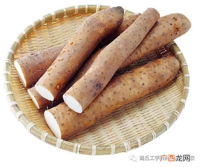 山药淀粉含量高不高,山药粉含糖高吗？