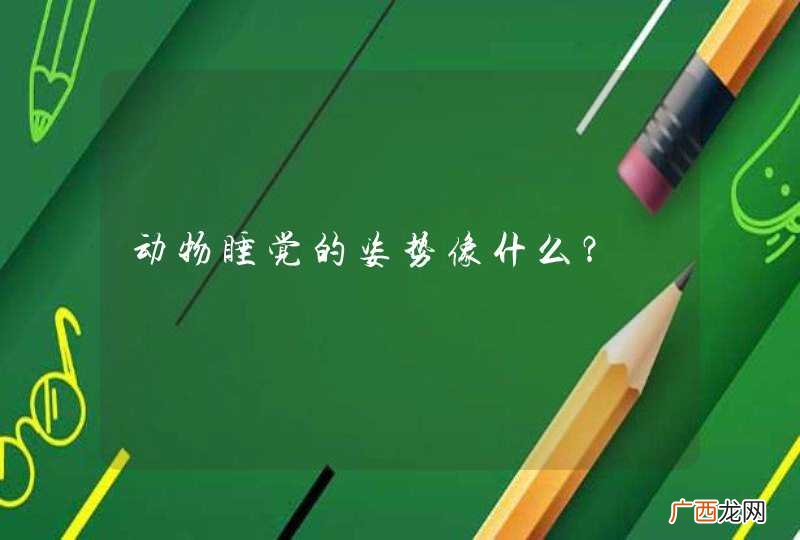 动物睡觉的姿势像什么？