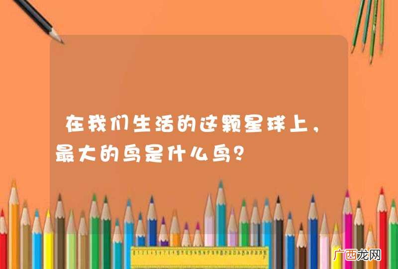 在我们生活的这颗星球上,最大的鸟是什么鸟?