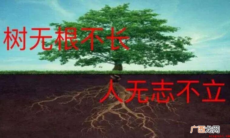 人无志不立意思是什么? 人无志不立意思是什么