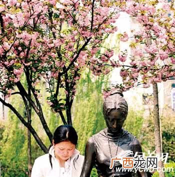 桃花灼灼下一句,桃花灼灼的意思？
