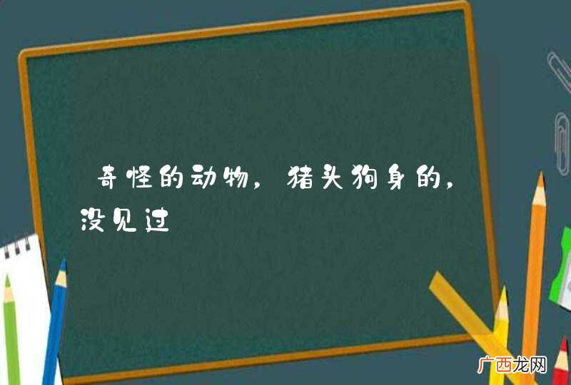 奇怪的动物,猪头狗身的,没见过