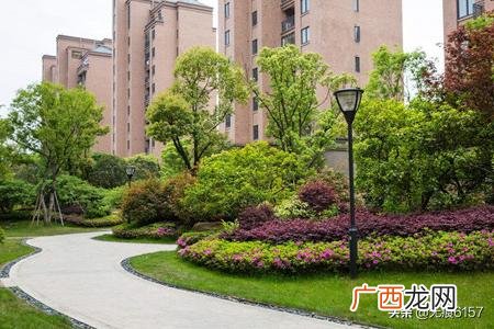绿地率的详细计算规则,绿地率怎么算？